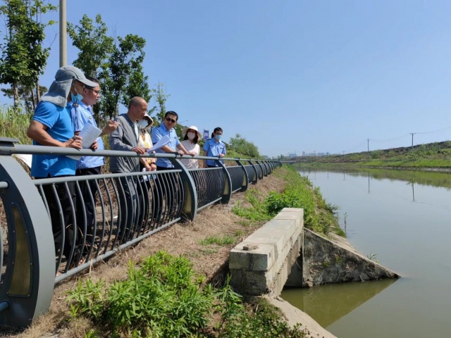 省督察组到江夏区检查长江入河排污口溯源整治工作