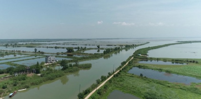江夏努力提升斧头湖水质   构建人与自然和谐共生美丽家园