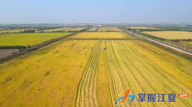 数说江夏“十四五”：乡村振兴纵深推进 奋力打造超大城市现代都市农业重要样板
