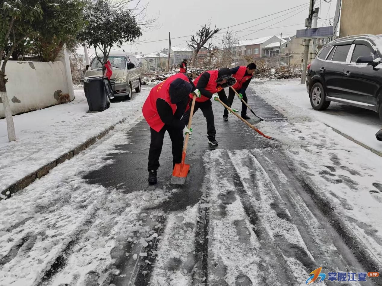 金水办事处农科所大队以雪为令显担当 并肩铲雪暖民心