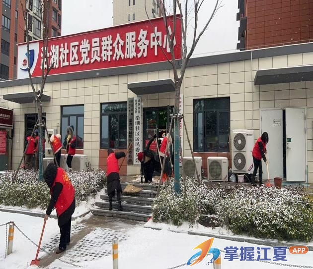 风雪无阻显担当  齐心协力护家园——沿湖社区全民动员铲雪除冰铺就“安全暖心路”