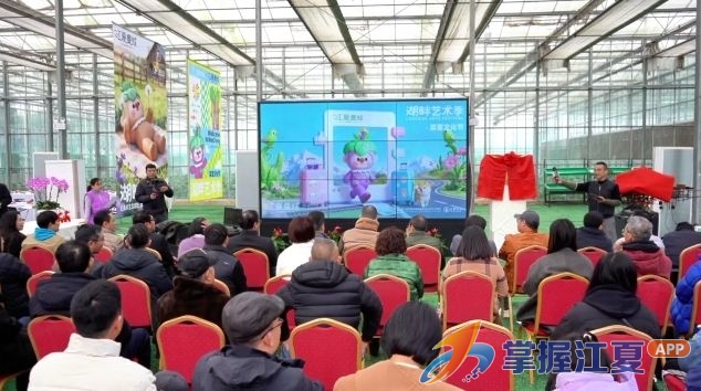 2026武汉湖畔艺术季暨丛霖江夏菜薹文化节启幕 艺农融合赋能乡村振兴