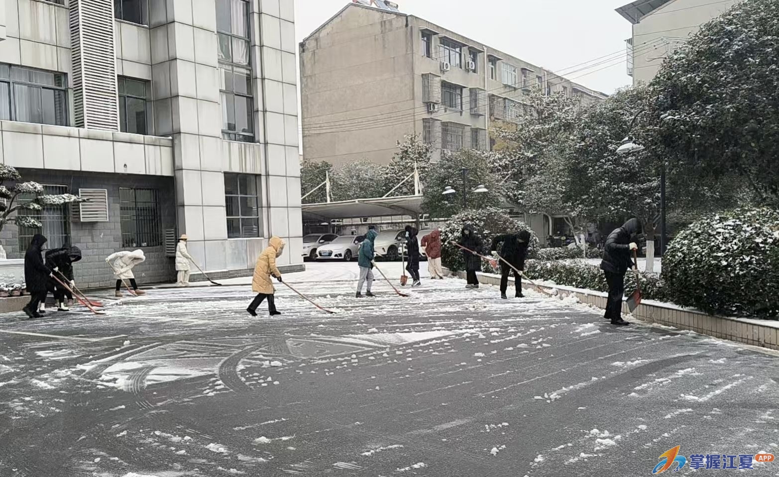 以雪为令 向雪而行 金水办事处全力开展扫雪除冰专项行动
