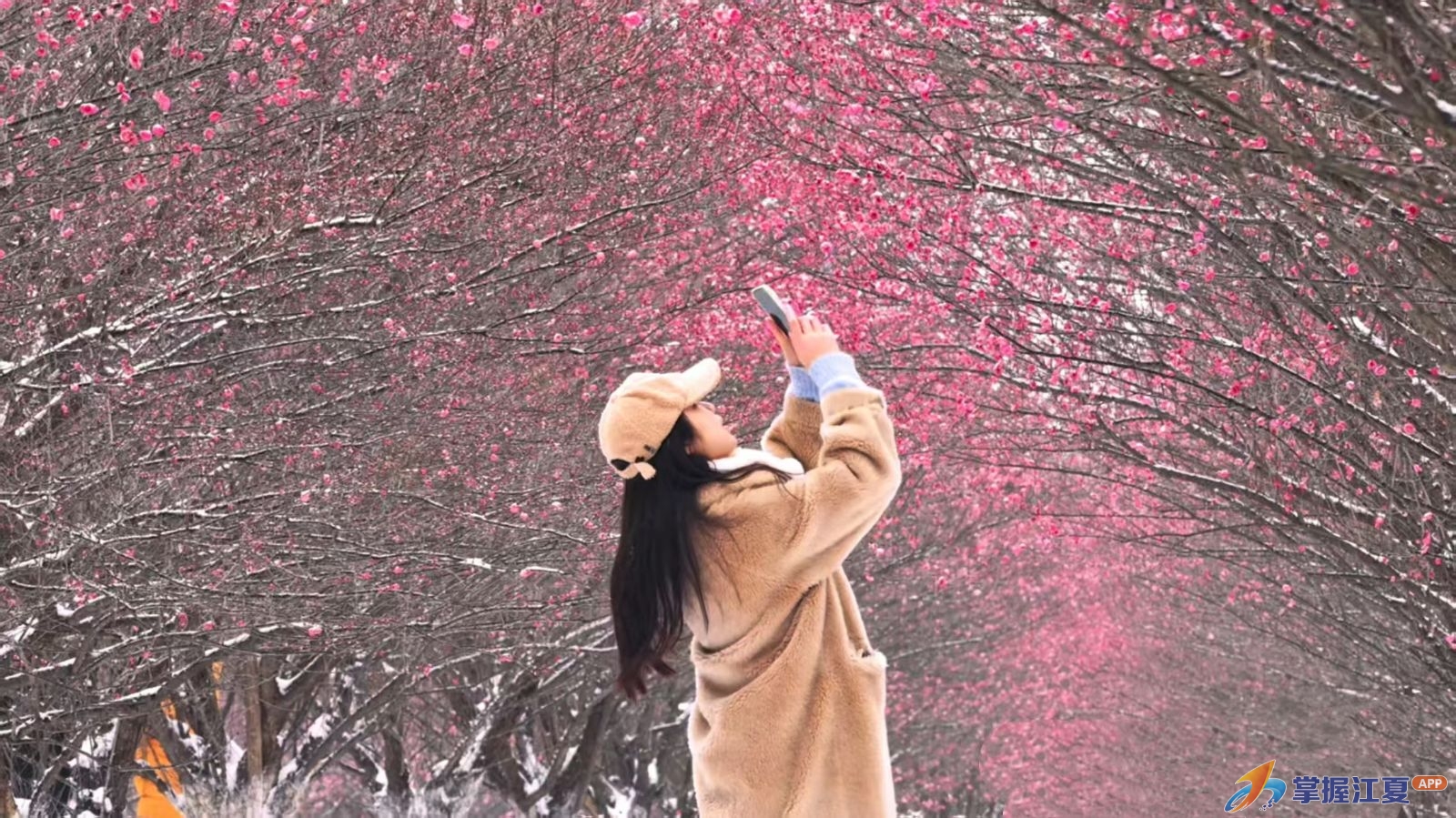 梅香引客至，市集寻年味——小朱湾梅园年货市集开启“寻味中国年”