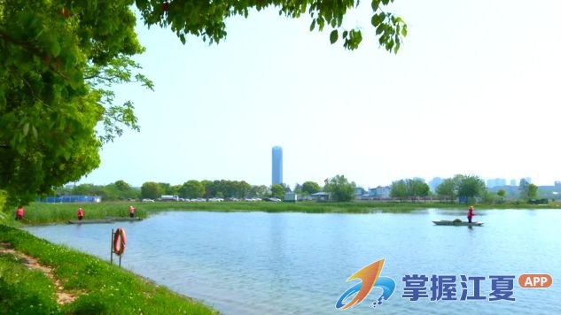 一湖碧水映初心 汤逊湖流域治理推动城市生态再生
