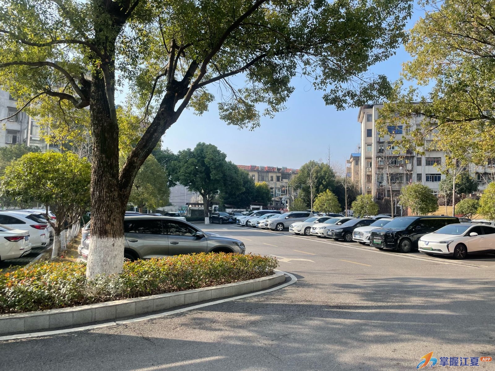 暖心便民！春节期间江夏区城管局院内30余个停车位免费向市民开放