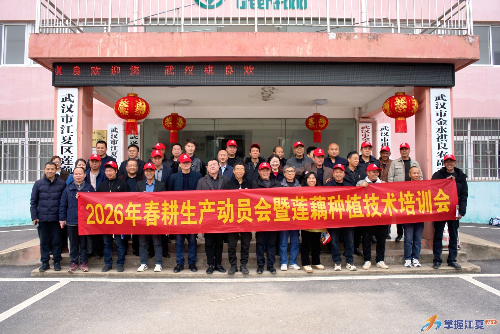 打造超大城市现代都市农业样板！江夏莲藕产业按下“升级键”