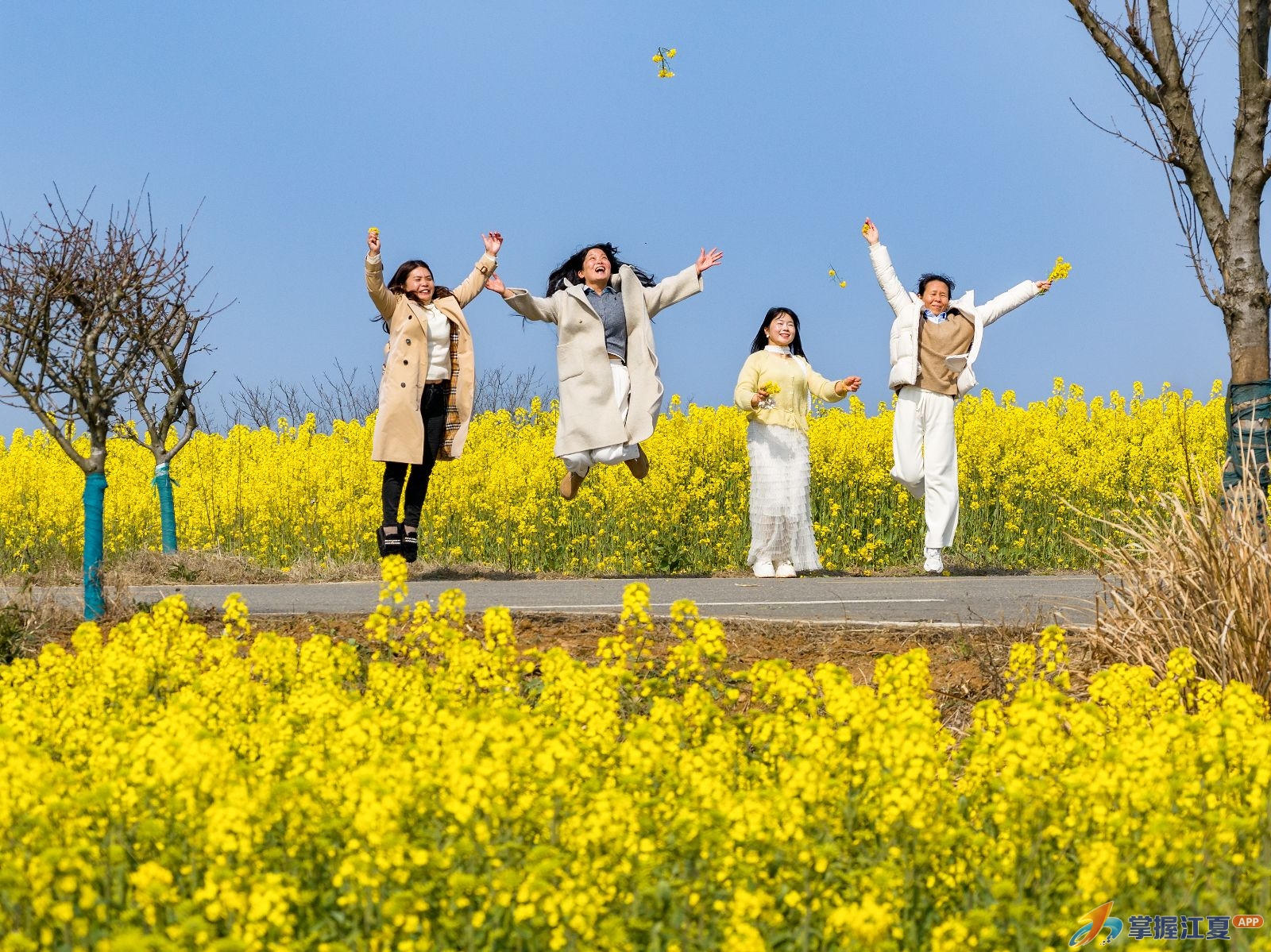 湖北交投江夏管理所：绘就“赏花+乡村”春日文旅新画卷