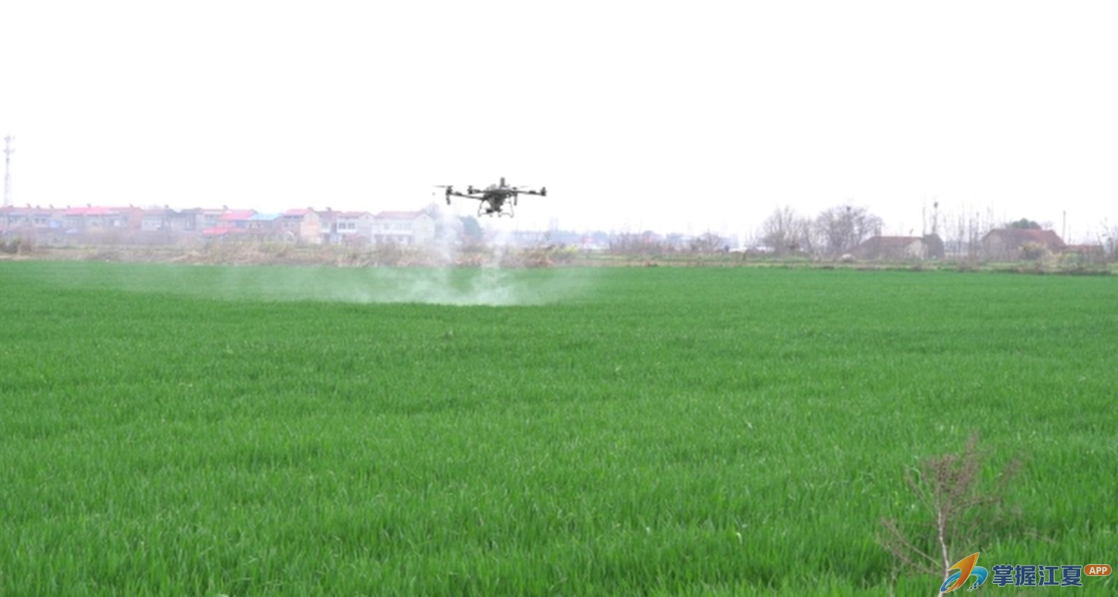 从田埂到网点 江夏的春耕“服务网”