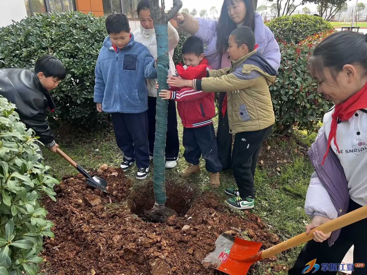 金口小学开展植树实践活动，师生携手为校园添新绿