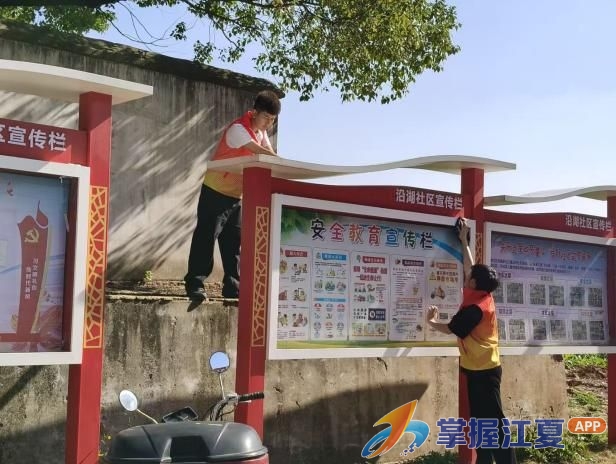 路面净了、楼道亮了！沿湖社区“清洁家园”行动获居民点赞