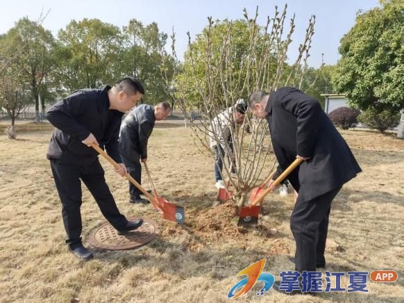 植绿护绿践初心 添彩赋能梁子湖——梁子湖风景区管委会开展义务植树活动