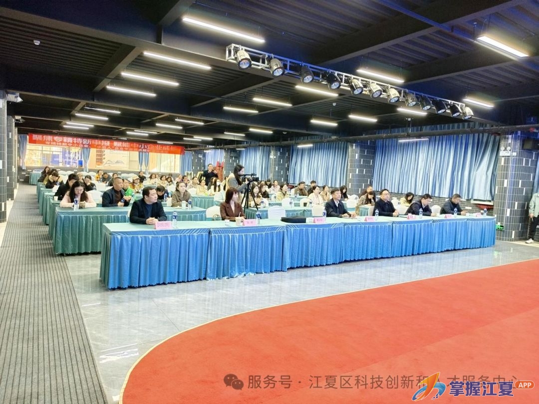 聚焦专精特新申报赋能中小企业成长——江夏区举办专精特新中小企业、“小巨人”企业申报要点解析培训