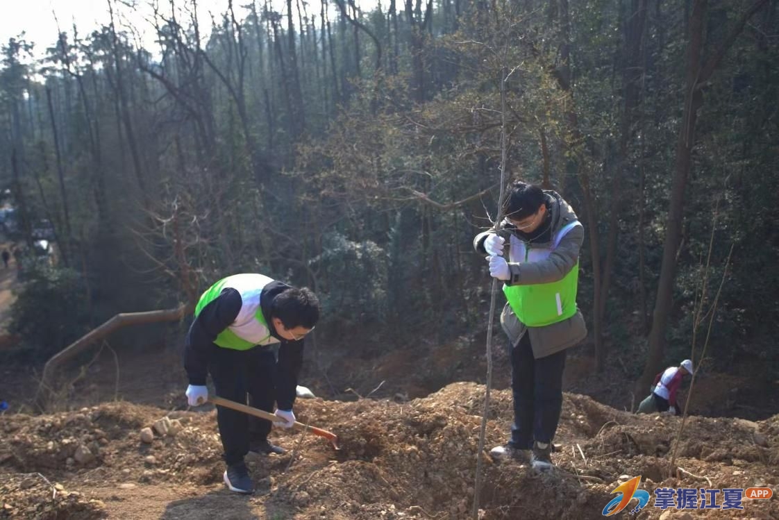 春风有信 绿满江夏 2026年江夏区全民义务植树活动举行