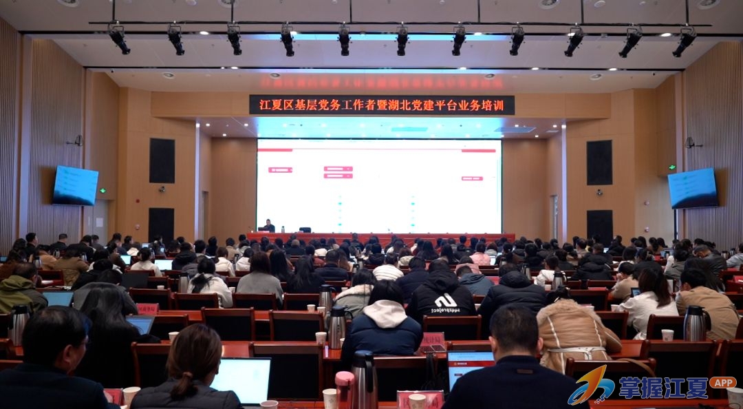250名党务工作者集中“充电”！江夏这场培训为党建信息化“赋能”