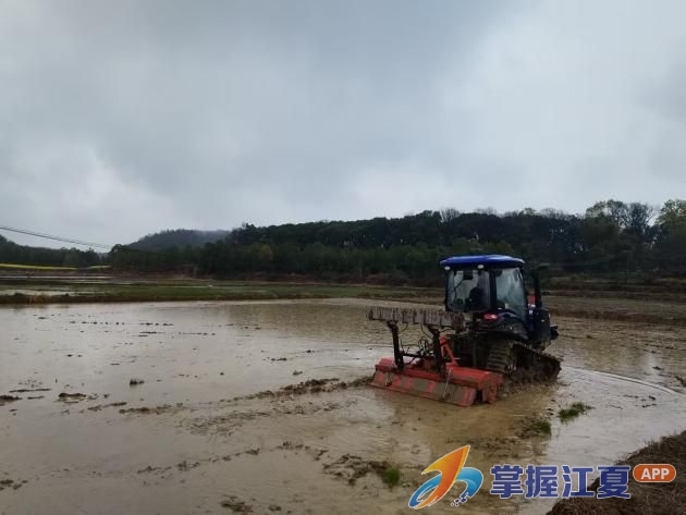 梁子湖风景区管委会早稻示范办点春耕生产全面推进