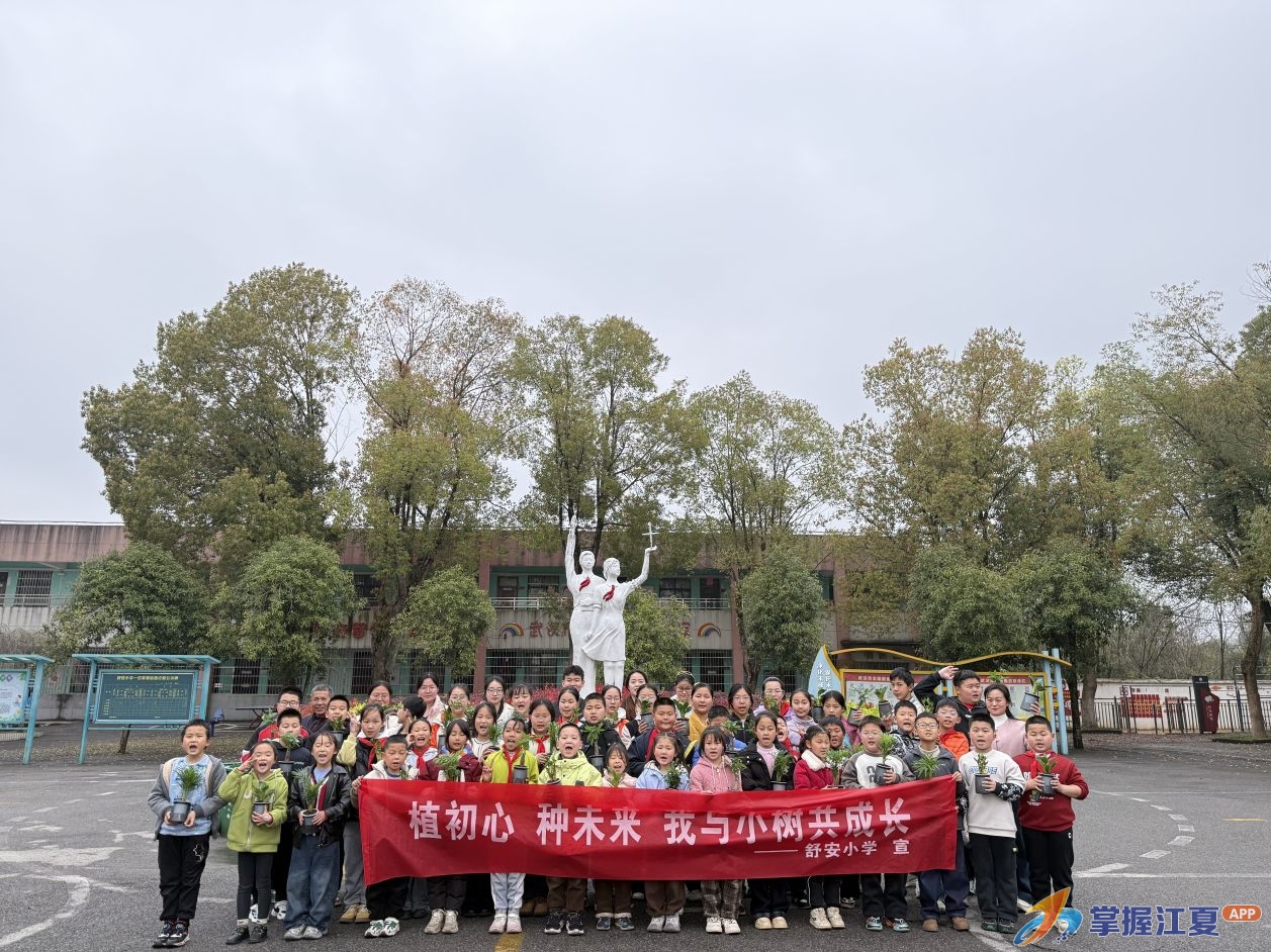 植初心，种未来，我与小树共成长——舒安小学开展盆栽认领实践活动