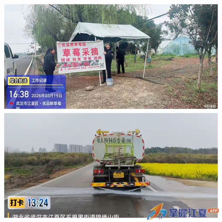 春满花海 “蓝”色同行 五里界街综合执法中心暖心护航