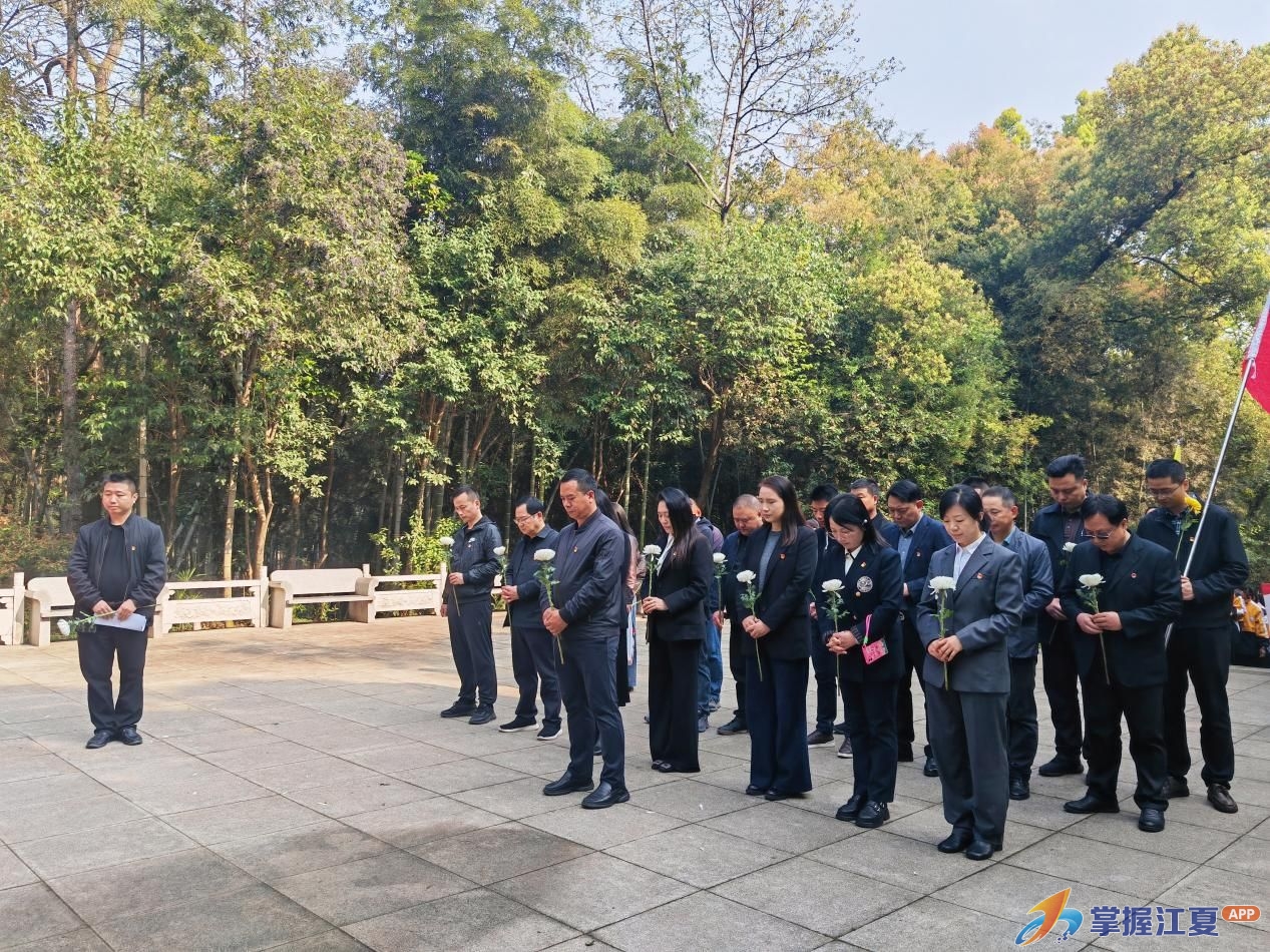 江夏区住更局开展清明祭扫支部主题党日活动