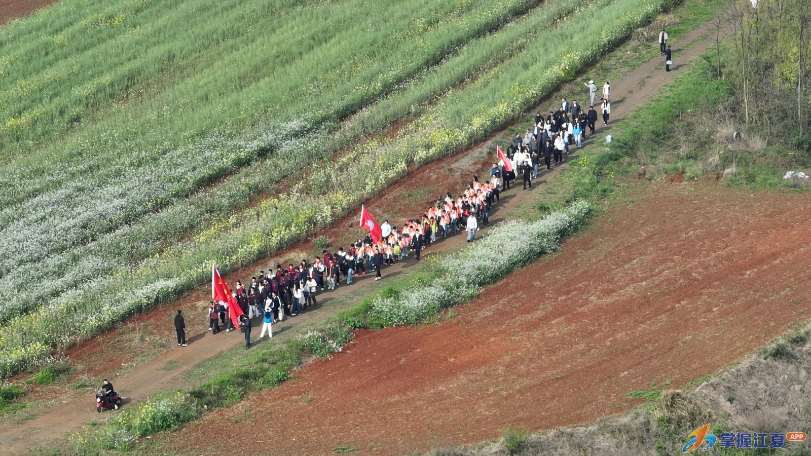 舒安街道开展“行走的思政课”暨清明祭扫活动