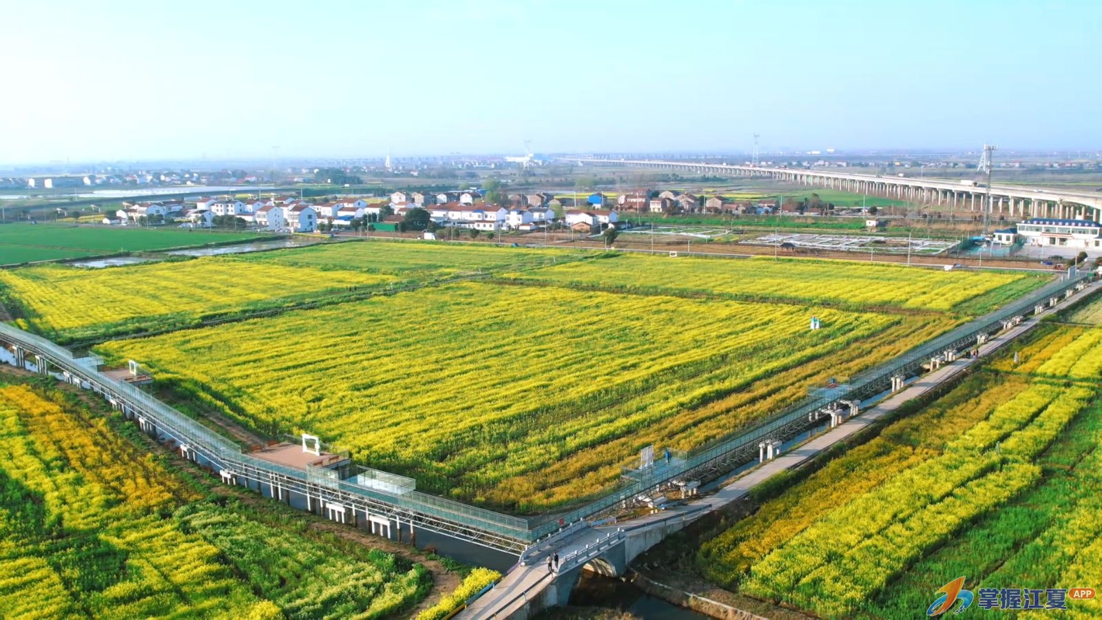 一路繁花一路净！江夏法泗扮靓“四线一口”绘就春日盛景