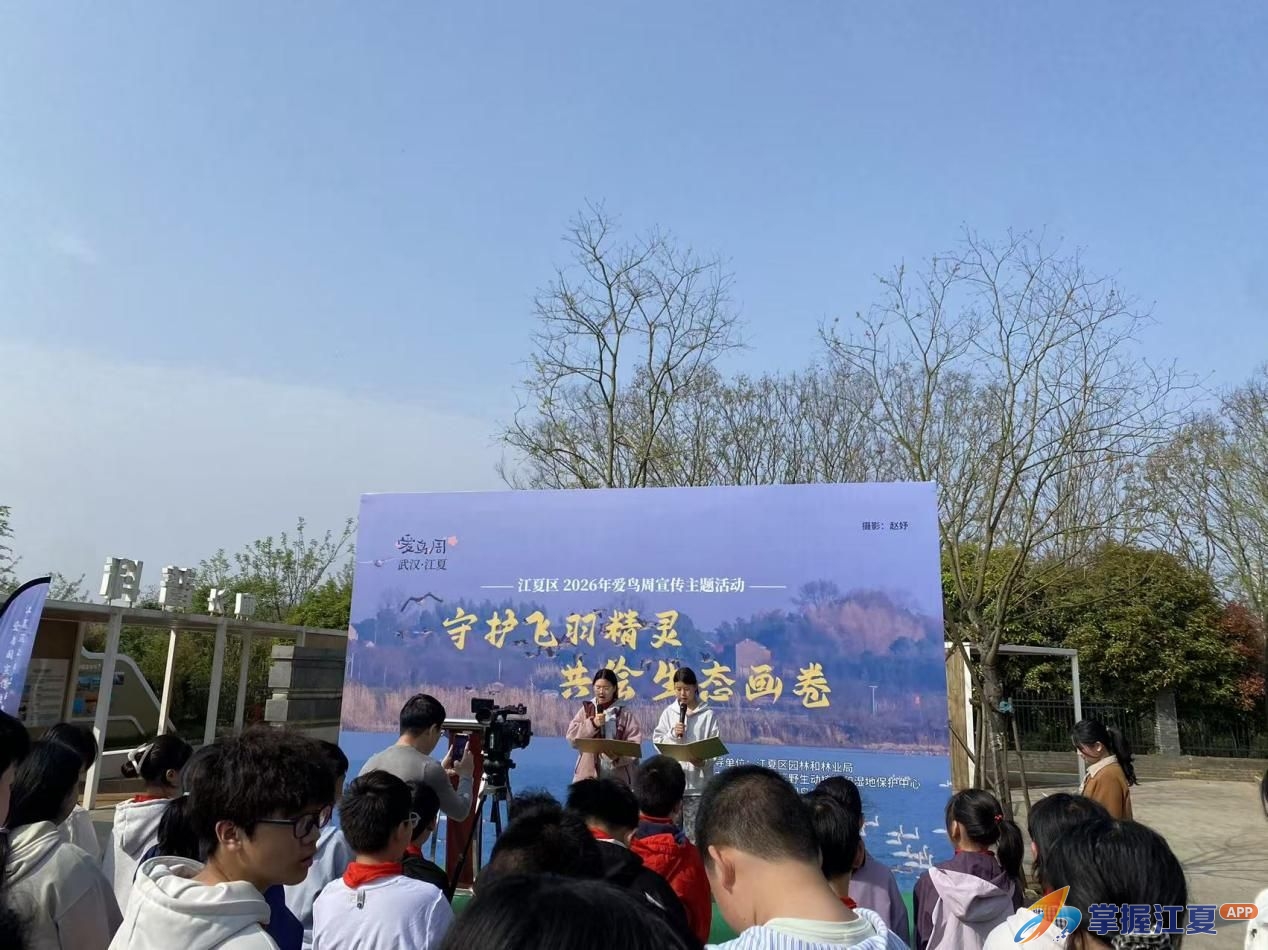 “守护飞羽精灵，共绘生态画卷”——江夏区2026年爱鸟周活动走进安山湿地