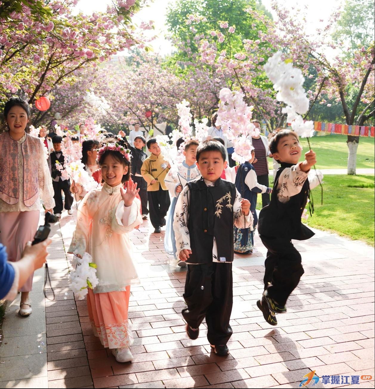 以樱为约，向美而行！武汉海淀外国语学校小学部樱花节如约而至