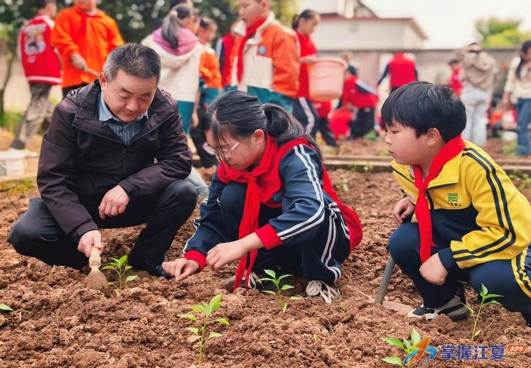 舒安小学开展“城乡携手智慧耕耘”蔬菜种植实践活动