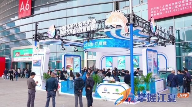 一条鱼“游”出百亿生态链