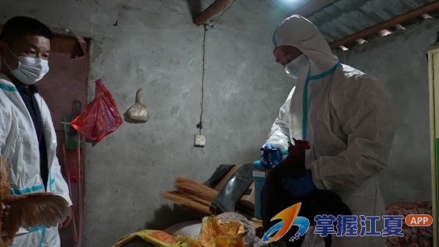 春季动物防疫忙 织牢畜禽安全“保护网”