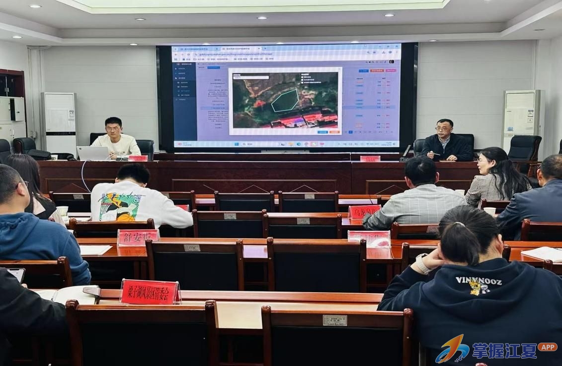 江夏“非粮化”整改培训为春播护航