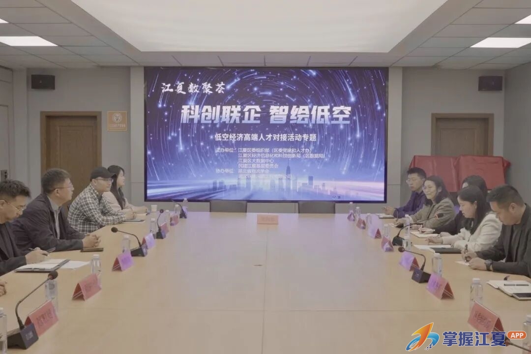“科创联企·智绘低空” ——江夏数聚荟低空经济高端人才对接专题活动成功举行