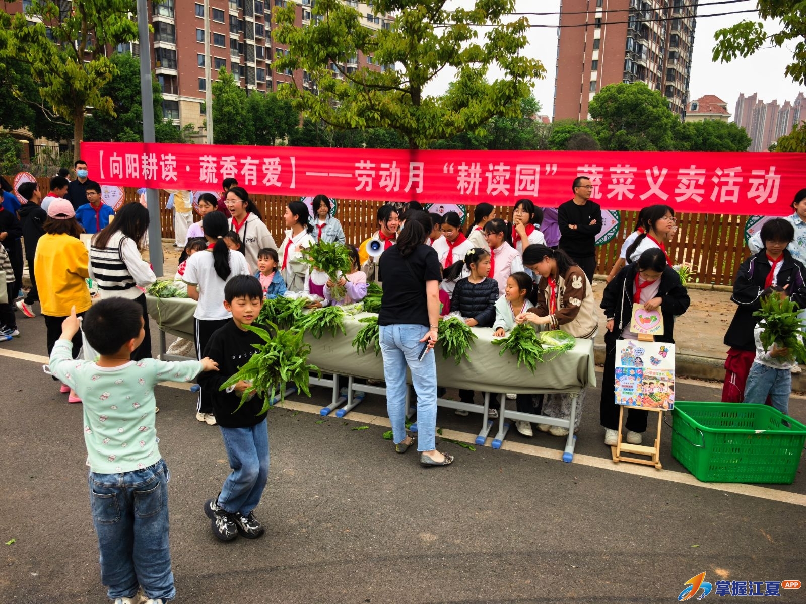 江夏区向阳学校“耕读园”蔬菜义卖暖心来袭