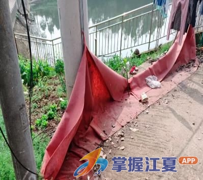 全域整治净环境 干群同心美村湾 ——郑店街道以实干绘就宜居新图景