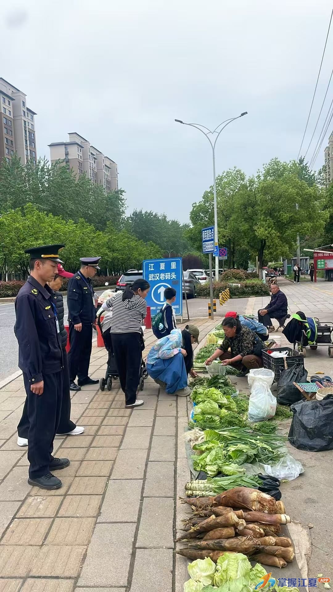 推进“全域门责” 激活治理效能 五里界街以“城管进社区”赋能城市提质