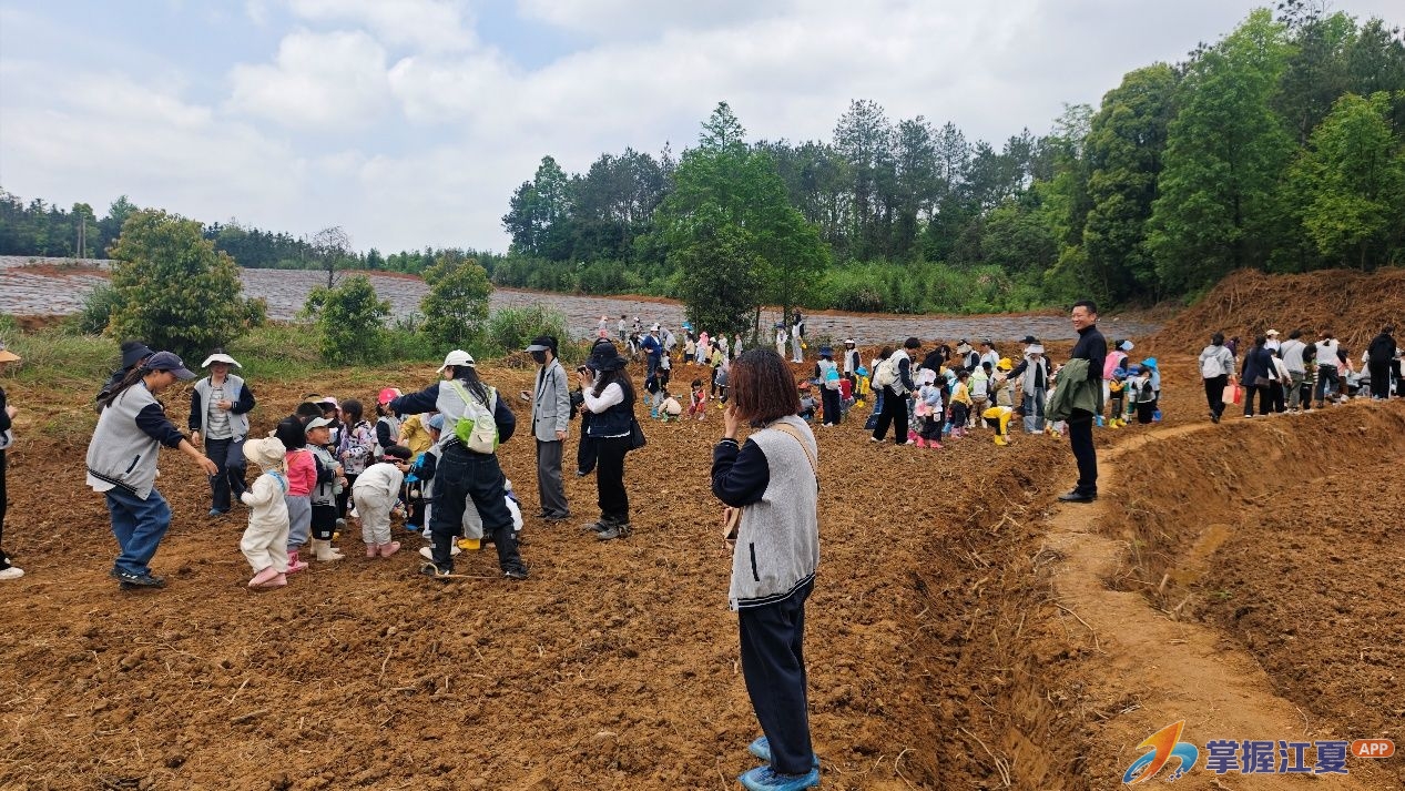 萌娃踏春耕沃土 以旅聚势启新篇——湖泗街道南山村研学活动圆满完成