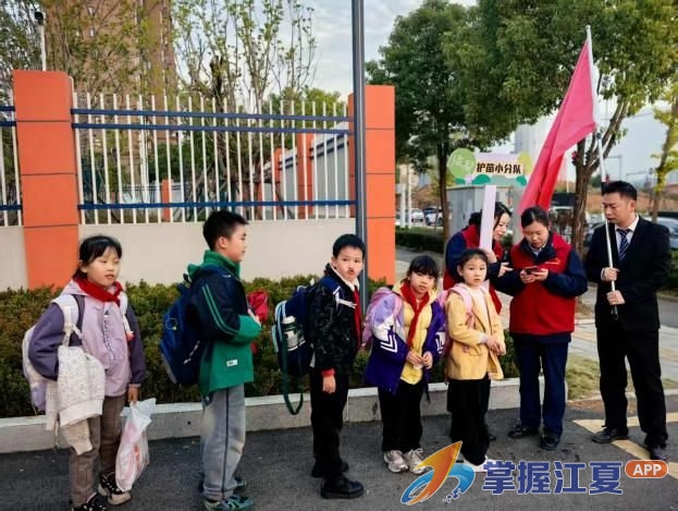 江夏区：支部领航谋实事 红色动能强根基