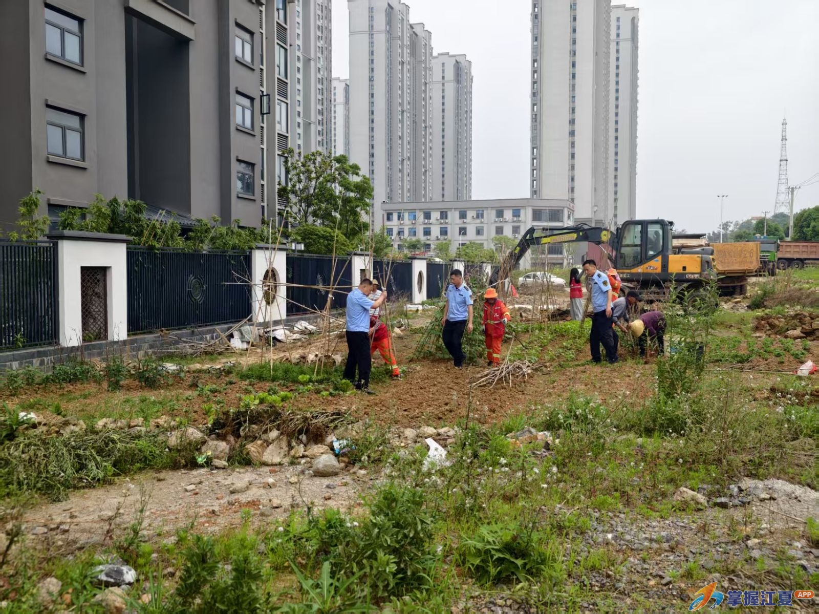 城管进社区 服务零距离 ——郑店综合执法中心清零毁绿种菜“硬骨头”！