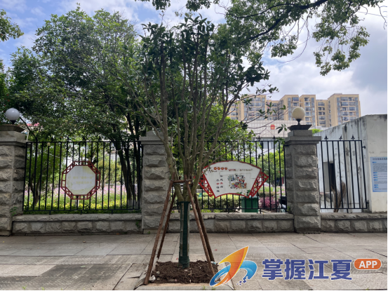 精细管理优环境，江夏区金水办事处推动绿化提质