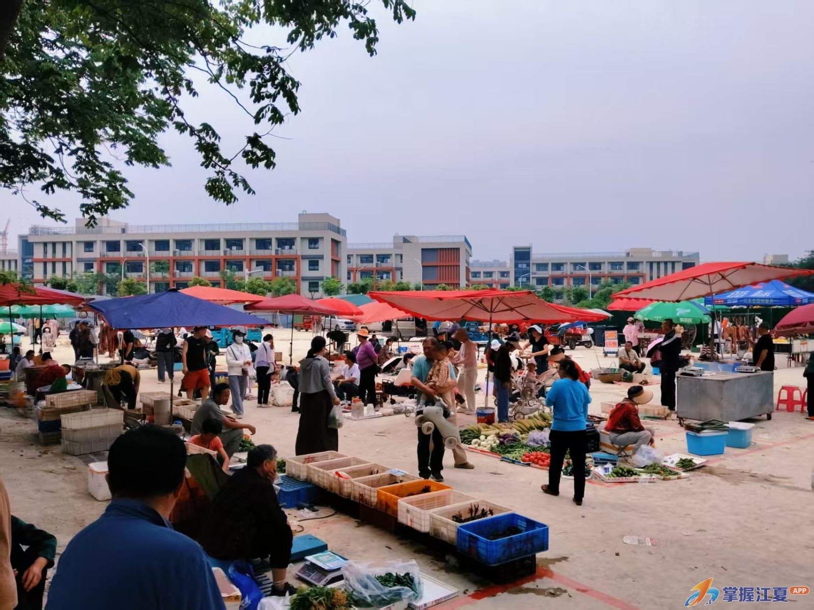 告别占道乱象！藏龙岛新设便民市场惠及300余名摊贩