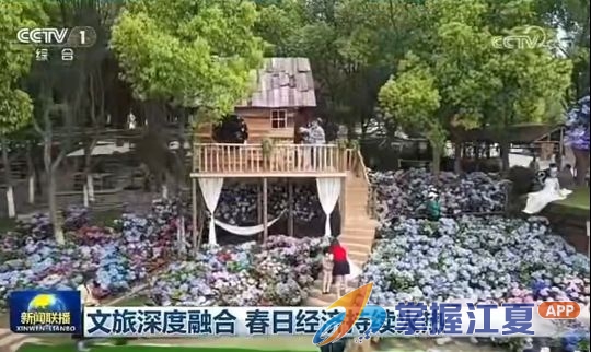 党建领航“花经济” 绣球盛开“富民路”