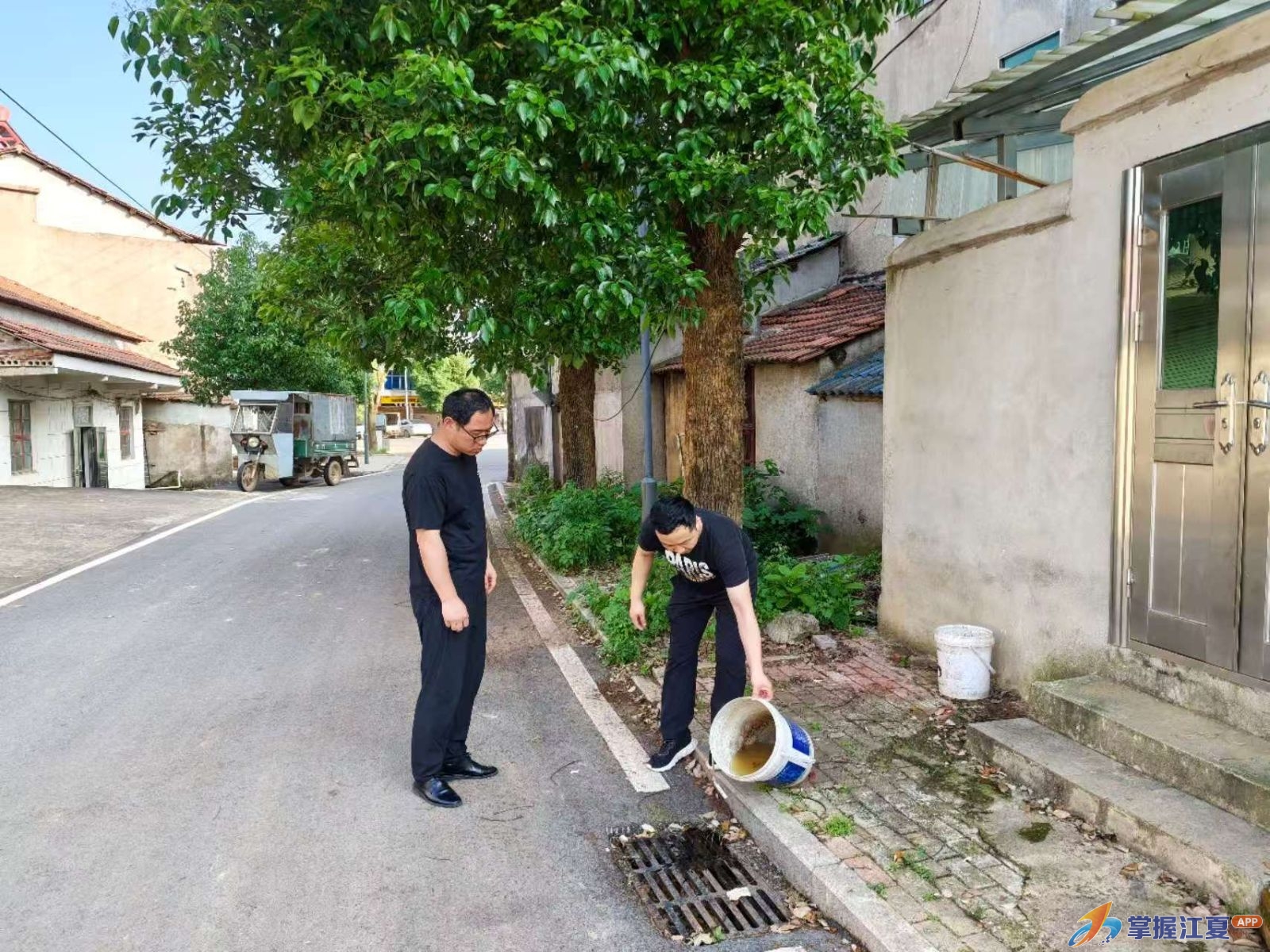 清除蚊虫孳生地 织密健康“防护网”——舒安街道开展蚊媒传染病源头防控专项行动