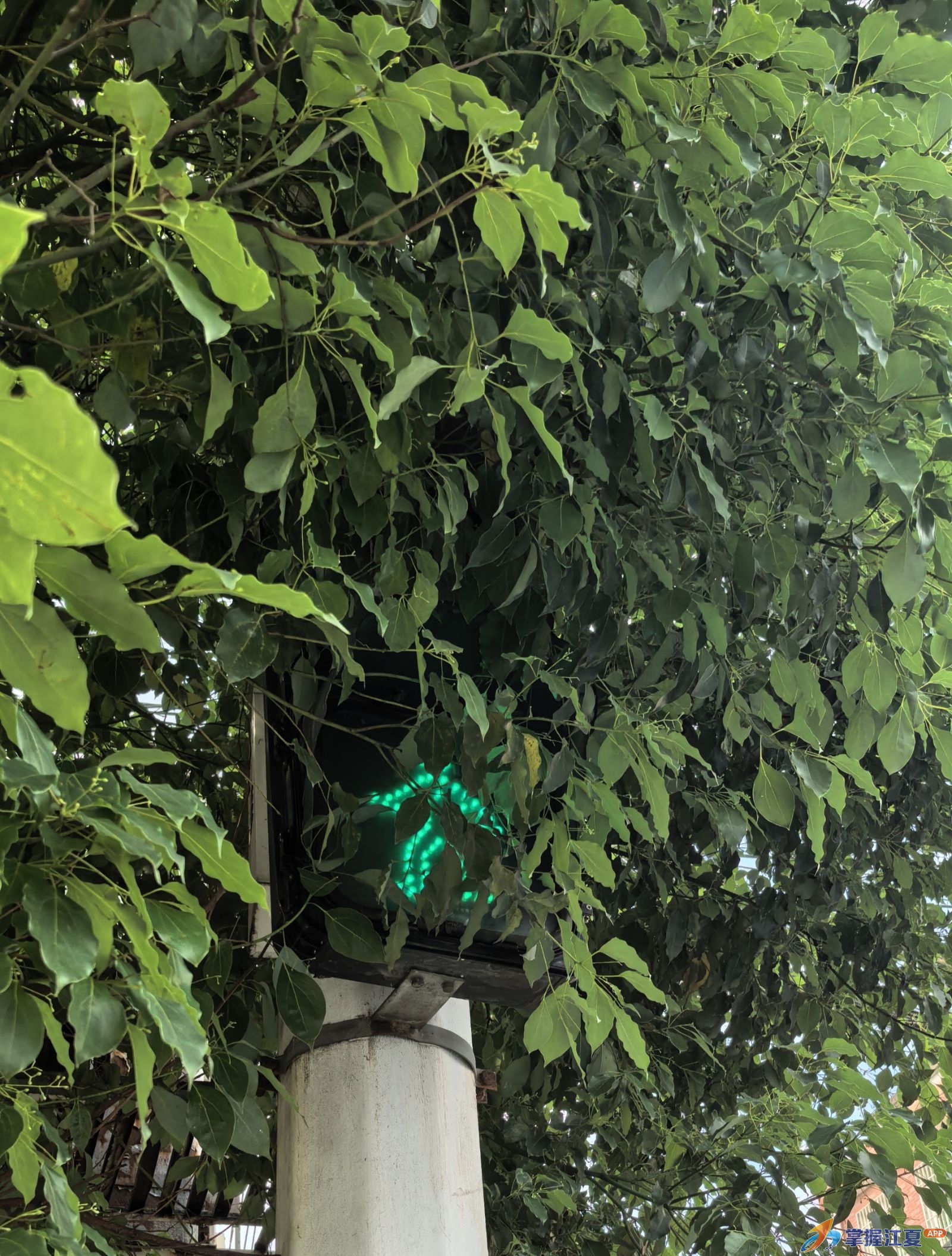 湖泗社区：精细化管理守牢安全底线 快速除隐患护航群众出行