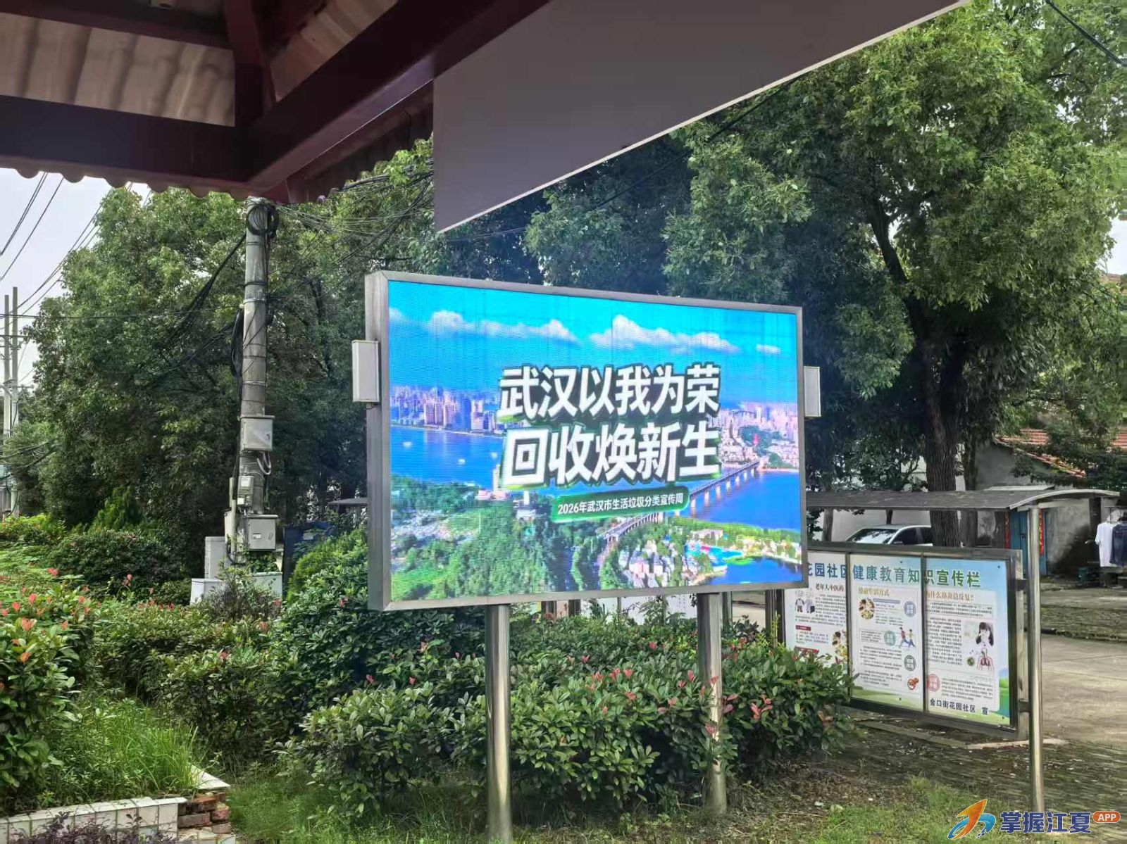 倡导绿色新风，践行分类理念！金口街多措并举让垃圾分类成“新时尚”