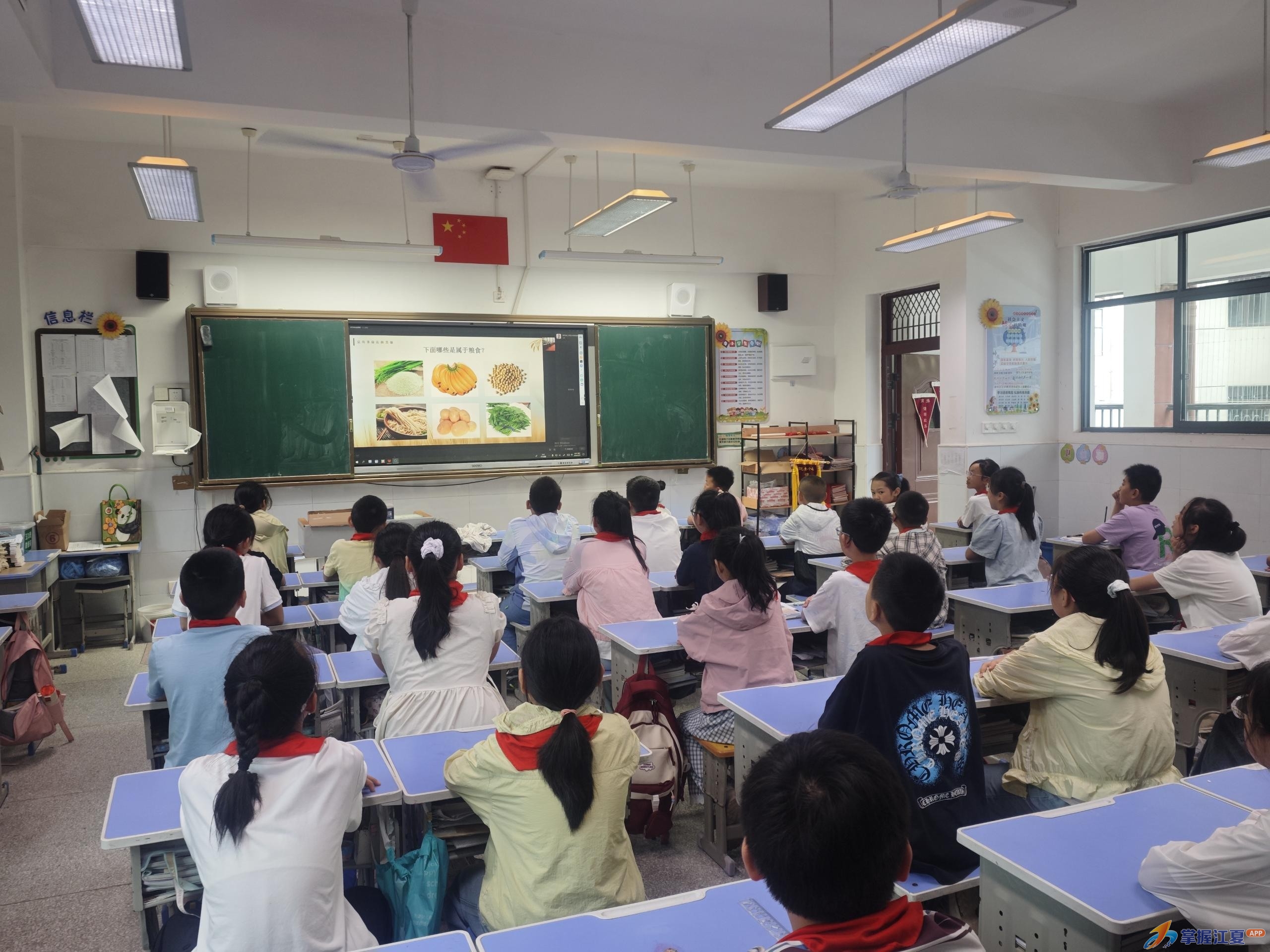 江夏区实验小学熊廷弼路校区开展珍惜粮食主题教育活动