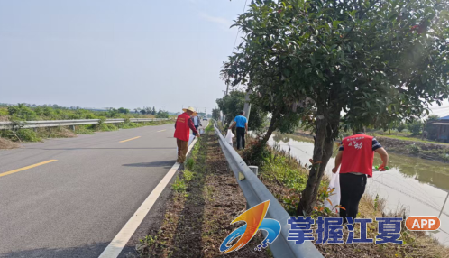 水产大队环境整治除病媒 移风易俗育新风