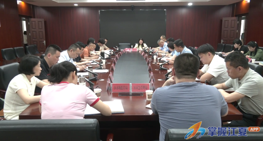 区人大常委会开展《武汉市托育服务促进条例》执法检查