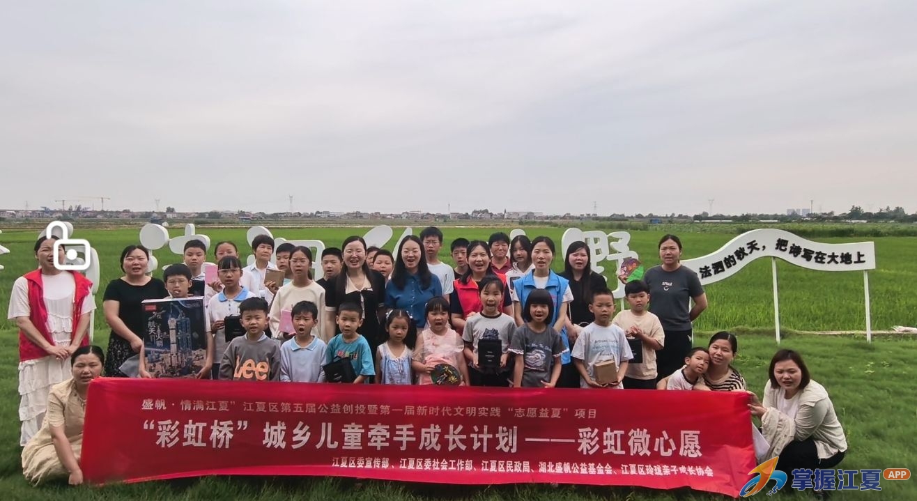 彩虹微心愿落地法泗稻田，城乡儿童牵手过“暖心六一”
