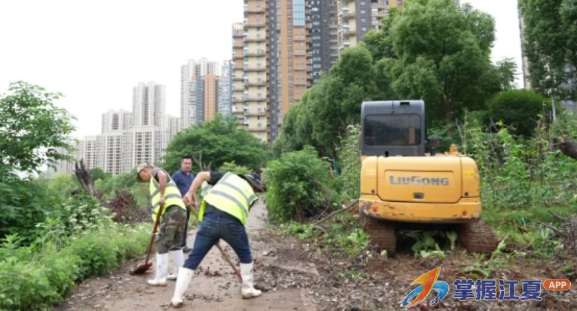 清垃圾 治死角 护碧波 江夏大桥产业园擦亮湖畔生态底色