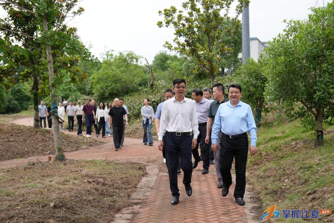 江夏区政协：深耕生态底色，绘就城湖共荣新图景